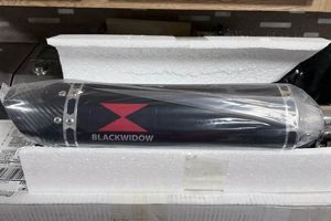 Upgrade Your Ride: Black Widow Muffler Performance Boost! | Best Mufflers for Cars & Trucks | Performance, Sound & Durability Upgrades