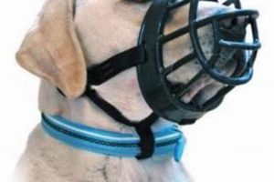Quiet Dog: Best Muffler for Dogs & Training Tips | Best Mufflers for Cars & Trucks | Performance, Sound & Durability Upgrades