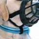 Quiet Dog: Best Muffler for Dogs & Training Tips | Best Mufflers for Cars & Trucks | Performance, Sound & Durability Upgrades