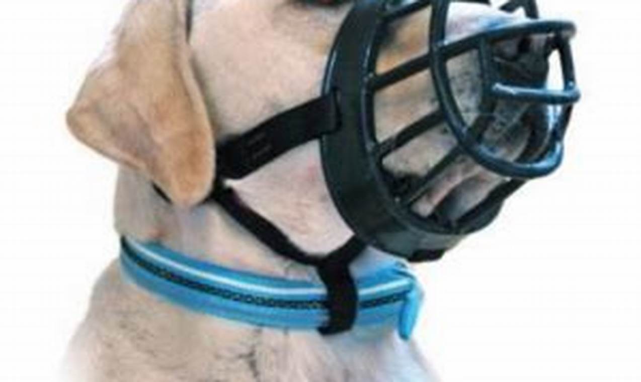 Quiet Dog: Best Muffler for Dogs & Training Tips | Best Mufflers for Cars & Trucks | Performance, Sound & Durability Upgrades