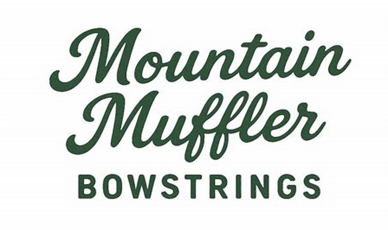 Buy Mountain Muffler Strings: Tone Control & Performance | Best Mufflers for Cars & Trucks | Performance, Sound & Durability Upgrades