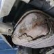 Is Your Car Sick? Blocked Muffler Symptoms & Fixes | Best Mufflers for Cars & Trucks | Performance, Sound & Durability Upgrades