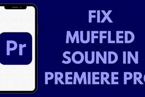 Fix Muffled Audio: Premiere Pro Tips + Clear Sound! | Best Mufflers for Cars & Trucks | Performance, Sound & Durability Upgrades