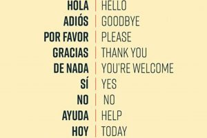 Spanish Sounds: Describing Muffled Noises in Spanish | Best Mufflers for Cars & Trucks | Performance, Sound & Durability Upgrades