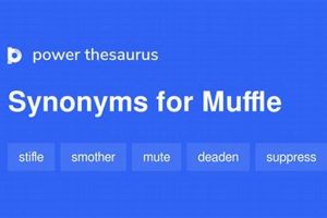 Find a Muffle Synonym: Quieter Sounds Await | Best Mufflers for Cars & Trucks | Performance, Sound & Durability Upgrades