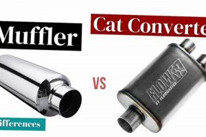 Cool Muffler Cats: Whimsical Exhaust Flair! | Best Mufflers for Cars & Trucks | Performance, Sound & Durability Upgrades