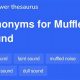 Other Words For Muffled: Sound Synonyms You Need! | Best Mufflers for Cars & Trucks | Performance, Sound & Durability Upgrades