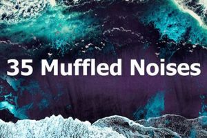 Understanding Muffled Noises: Causes & Solutions | Best Mufflers for Cars & Trucks | Performance, Sound & Durability Upgrades