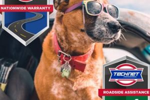 Salem VA's Best Muffler: Roberts Muffler Experts! | Best Mufflers for Cars & Trucks | Performance, Sound & Durability Upgrades
