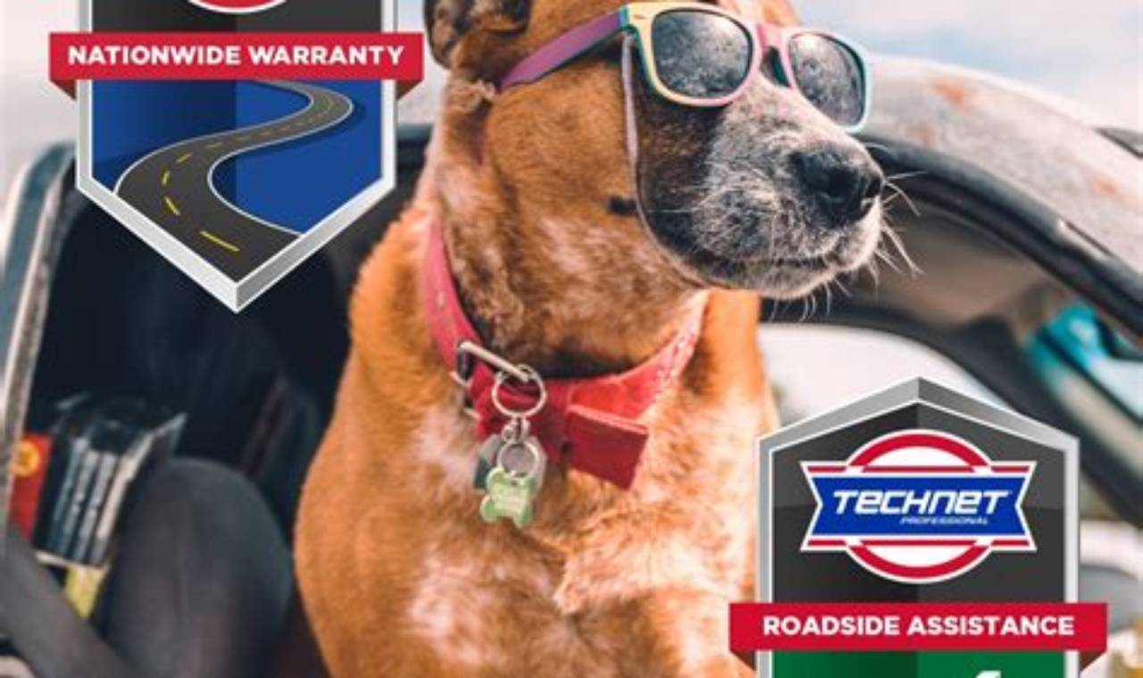 Salem VA's Best Muffler: Roberts Muffler Experts! | Best Mufflers for Cars & Trucks | Performance, Sound & Durability Upgrades