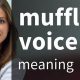 Why is Your Voice Muffled? Causes & Fixes | Best Mufflers for Cars & Trucks | Performance, Sound & Durability Upgrades