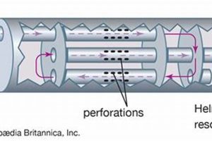 Decode Your Muffler: Understanding Muffler Diagram Schematics | Best Mufflers for Cars & Trucks | Performance, Sound & Durability Upgrades