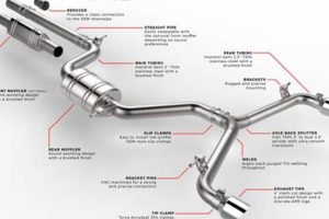 Enhance Your Ride: Cat Back Muffler System Guide & Benefits | Best Mufflers for Cars & Trucks | Performance, Sound & Durability Upgrades