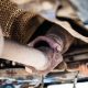 Stop Muffler Leak Issues | Symptoms &amp; Fixes | Best Mufflers for Cars & Trucks | Performance, Sound & Durability Upgrades