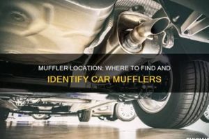 Muffler Placement: Where is the Muffler Located On Your Car? | Best Mufflers for Cars & Trucks | Performance, Sound & Durability Upgrades