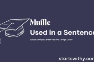 Decoding Muffle Sentence: Clarity Beyond The Fog | Best Mufflers for Cars & Trucks | Performance, Sound & Durability Upgrades