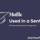 Decoding Muffle Sentence: Clarity Beyond The Fog | Best Mufflers for Cars & Trucks | Performance, Sound & Durability Upgrades