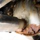 Rust Prevention: Fix Your Rusted Muffler Now! | Best Mufflers for Cars & Trucks | Performance, Sound & Durability Upgrades