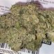 Reviewing the Dirty Muffler Strain on Leafly: Is It Legit? | Best Mufflers for Cars & Trucks | Performance, Sound & Durability Upgrades