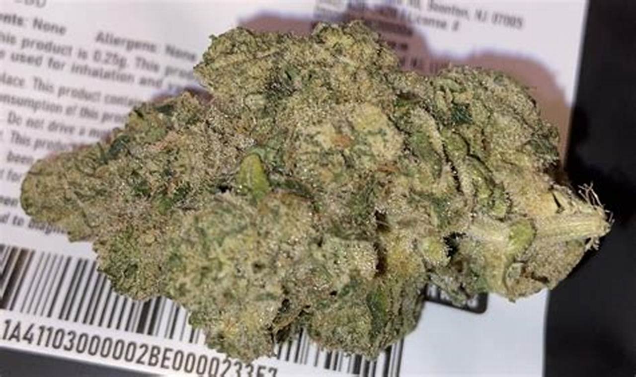 Reviewing the Dirty Muffler Strain on Leafly: Is It Legit? | Best Mufflers for Cars & Trucks | Performance, Sound & Durability Upgrades