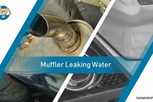 Is Water From Muffler Normal? The Truth! Best Mufflers for Cars & Trucks | Performance, Sound & Durability Upgrades Is Water From Muffler Normal? The Truth! | Best Mufflers for Cars & Trucks | Performance, Sound & Durability Upgrades
