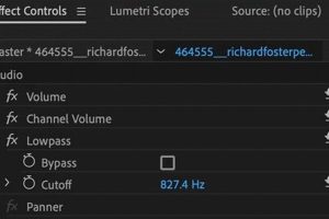 Easy Audio Muffle: How to in Premiere Pro (Quick!) | Best Mufflers for Cars & Trucks | Performance, Sound & Durability Upgrades
